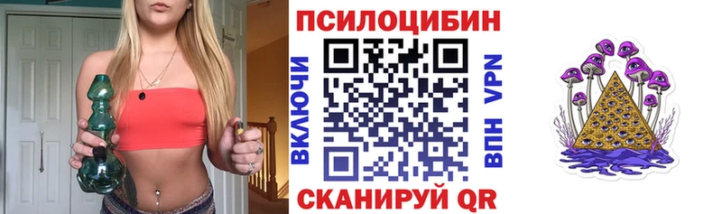 купить наркоту  Велиж  Псилоцибиновые грибы мицелий 